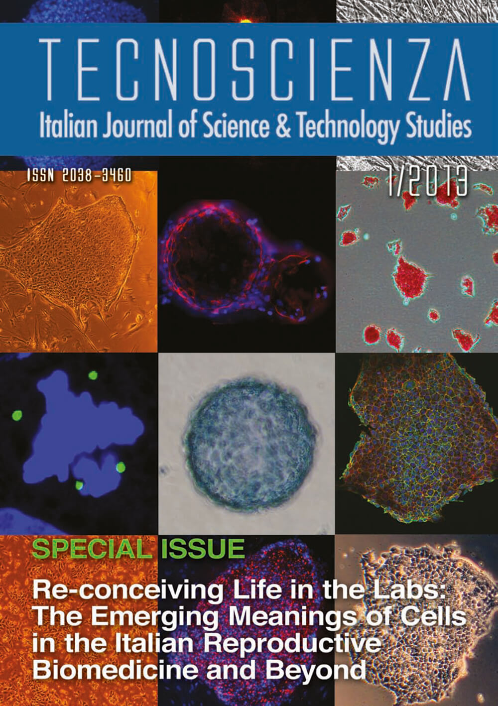 "Smile of a Stem Cell: A Dialogue between Science and Society" by Cattaneo Lab. Cover of Tecnoscienza number 7 (1st Issue, Year 2013)